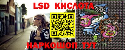 гидра Краснодар